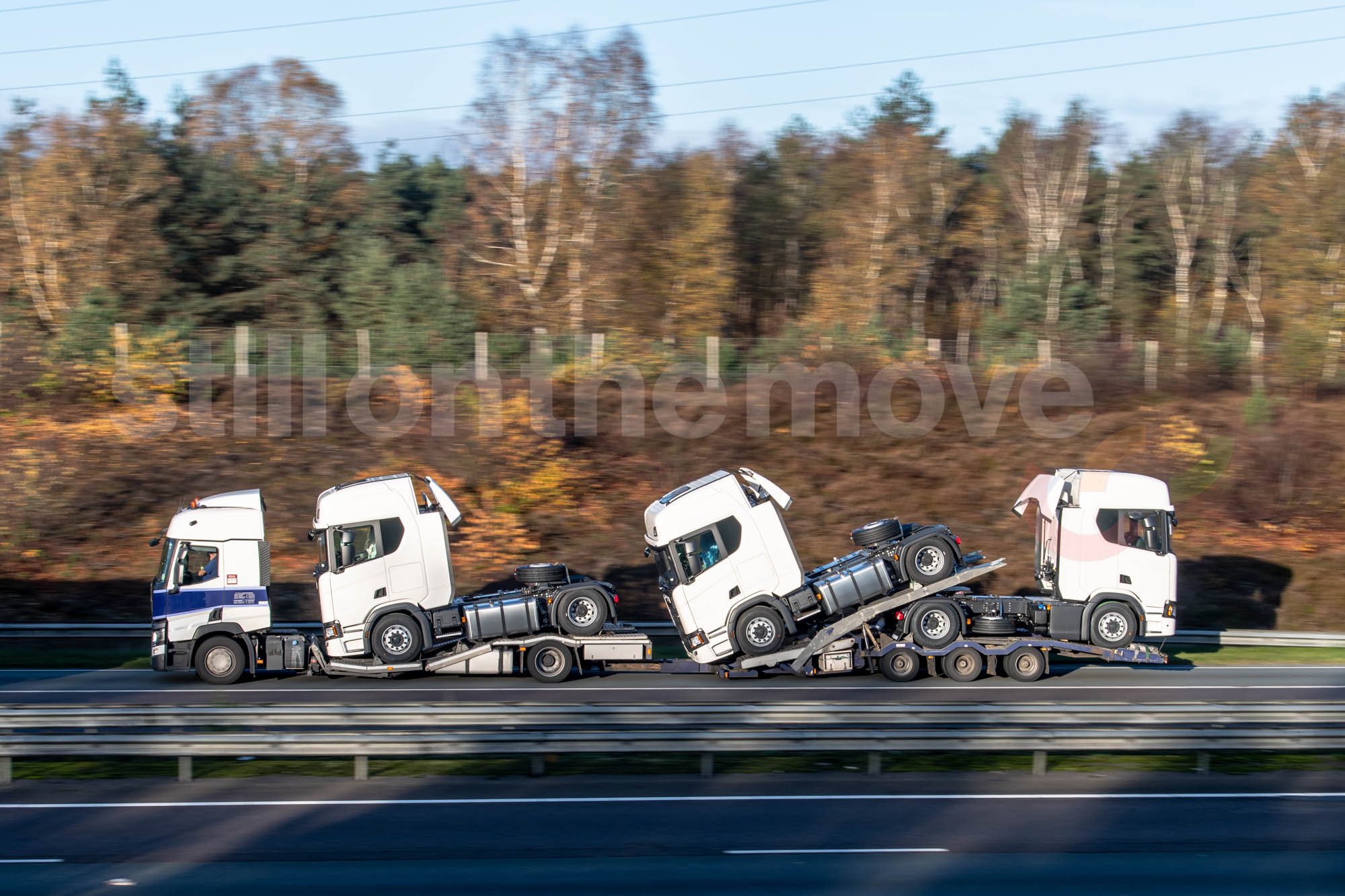 autotransport van scania vrachtwagens in herfst omgeving